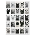 271f1c79-5d55-4014-b829-7e85669bc209